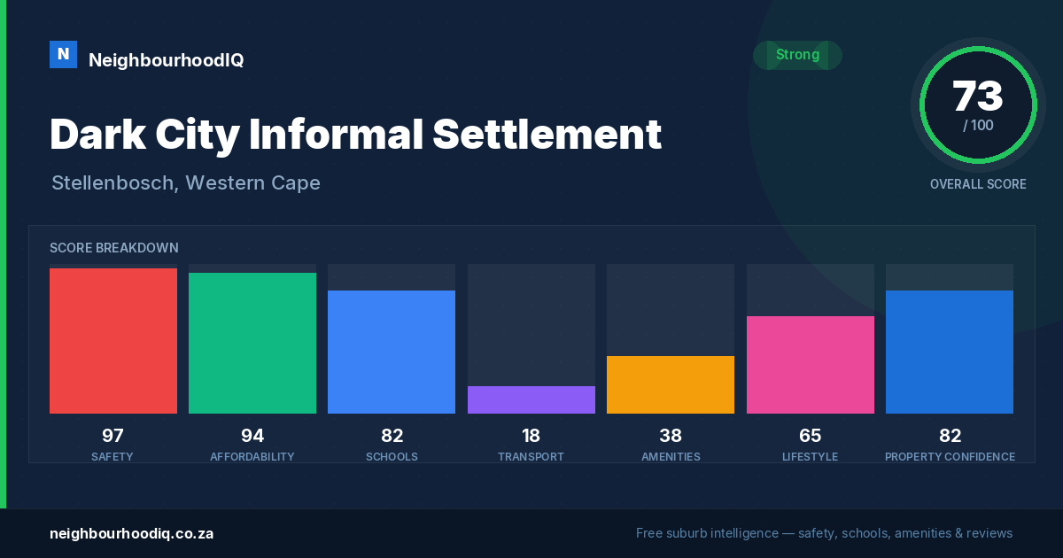 Dark City Informal Settlement report card