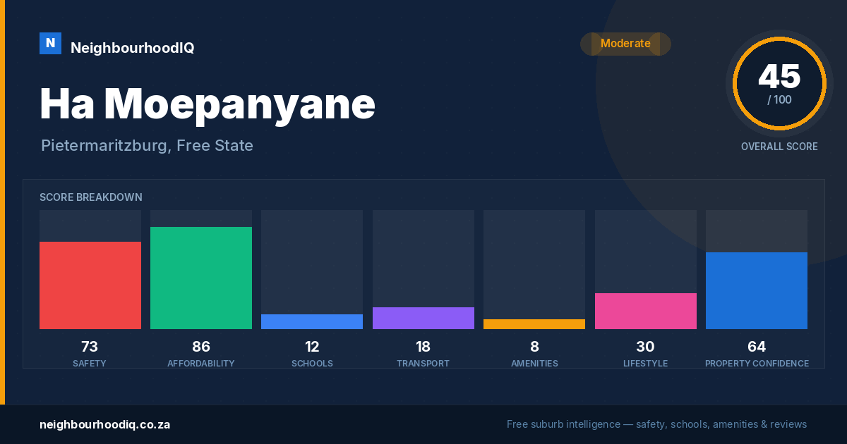 Ha Moepanyane report card