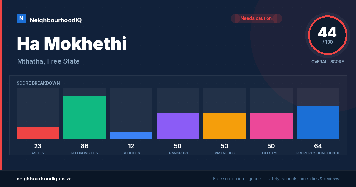 Ha Mokhethi report card