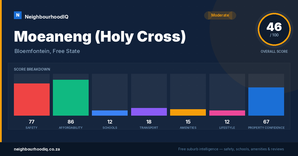 Moeaneng (Holy Cross) report card
