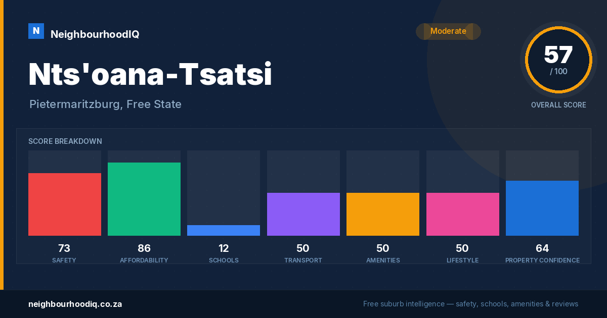 Nts'oana-Tsatsi report card