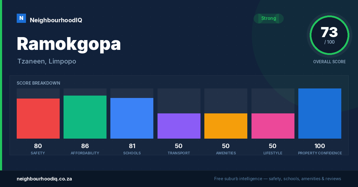 Ramokgopa report card