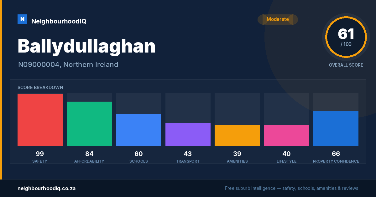 Ballydullaghan report card